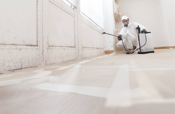 24/7 Emergency Commercial Mold Remediation experts in Marion, VA