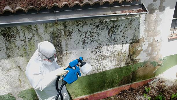Top rated local Commercial Mold Remediation specialists in Marion, VA
